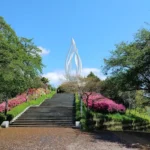 군산 맛집 탐방: 현지인만 아는 노포 술집부터 실패 없는 무료 주차 꿀팁까지